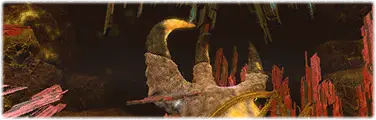 The Unending Coil of Bahamut